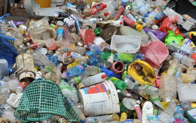 Greenpeace calls for Government to reduce plastic production by 75% by 2040